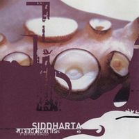Siddharta - Silikon delta