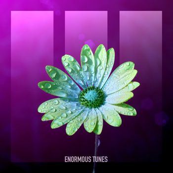 Passenger 10 - Countdown (Vicissu Remixes)