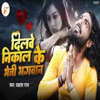 Prakash Raj - Dilwe Nikal Ke Bheji Bhagwan