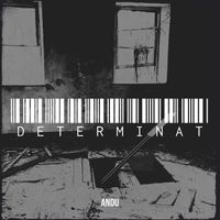 Andu - Determinat (Explicit)
