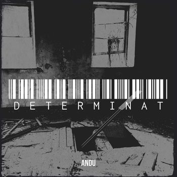 Andu - Determinat (Explicit)