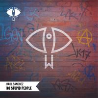 Raul Sanchez - No Stupid People