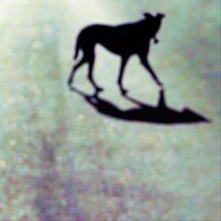 Lumen - Información