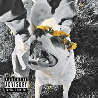 Aden - 7 Wonders (Explicit)