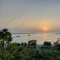 Bahia Palace - Lido Di San Juan
