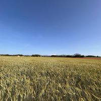 PatRice - Wie Tag und Nacht