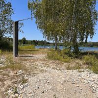 PatRice - All on my own