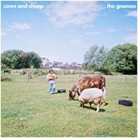 The Gnomes - Cows and Sheep (Explicit)