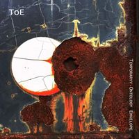 ToE - Temporary Ontology Envelope