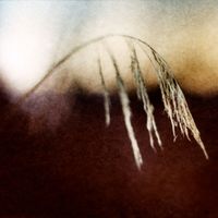 Tenebrous Liar - Denied By Light