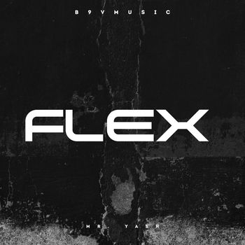 Mr. Yash - FLEX