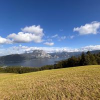 PatRice - From the valley of the cracks