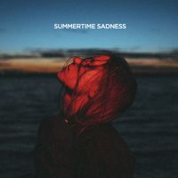 Seismal D - Summertime Sadness