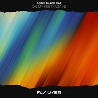 Some Black Cat - On My Feet (Again)