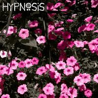 Hypnosis - Kudzu Alchemist (Live)