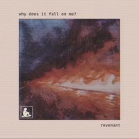 Revenant - why does it fall on me?