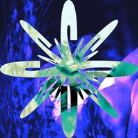 eV - Shame in the Night / pick up the phone, i miss u (Explicit)