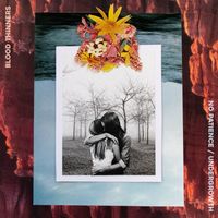 Blood Thinners - No Patience / Undergrowth (Explicit)