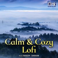 Nadeem-Shravan - Calm & Cozy Lofi instrumental