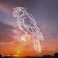 Birdtattoo - Cleanse