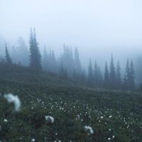 Fordus - D:\Users\SC\Documents\Recordings\singing for my sprouts(6)