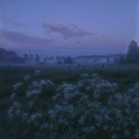 sadtones - lost in haze (remixes)
