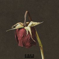 Mystykali - Pain N Heartache