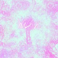 Fractal - Walkin