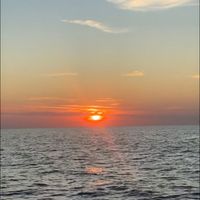 Harley - Sunset Dream
