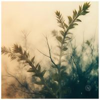 Anna Koller - Chopin: Ballade No. 3 in A-Flat Major, Op. 47