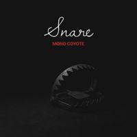 Mono Coyote - Snare