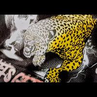 Steff - Studio Tantrums (Explicit)