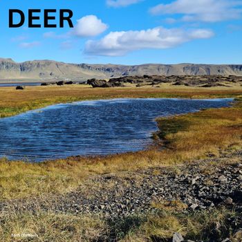 Torfi Olafsson - DEER