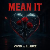 ViViD - Mean It (Explicit)