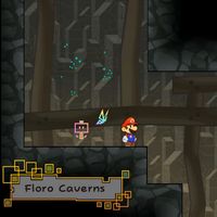 SPM - Floro Sapien Caverns