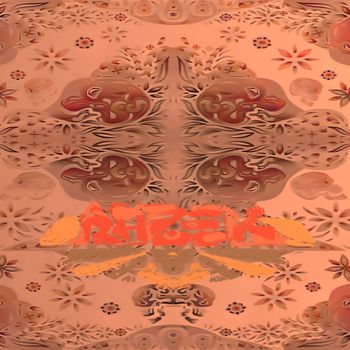 Razek - MISCONCEPTION