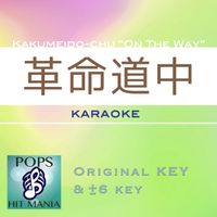 POPS HIT MANIA - kakumedotyu(Karaoke Pops Hit Mania)