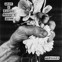 Softcult - 16/25