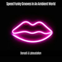 Donadi & Laboudallon - Speed Funky Grooves in an Ambient World