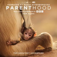 Tom Howe - Parenthood: The Greatest Adventure (Music From The Programme On BBC)
