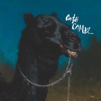 CACO - Cash Camel (Explicit)