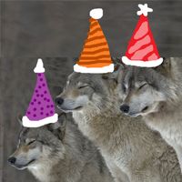 DAF - El Cumple de D.A.F EP (Explicit)