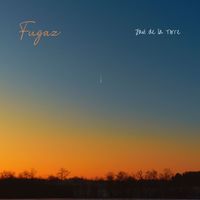 Javi de la Torre - Fugaz