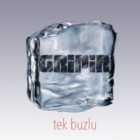 gripin - Tek Buzlu
