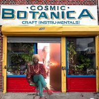 Cosmic Botanica - Craft (Instru-Mentals)