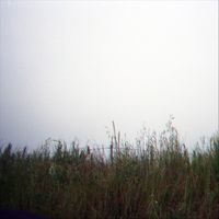 501 Era - all The lives To Be (Explicit)