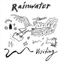 Rainwater - Visiting