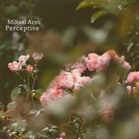 Mikael Arvo - Perceptive