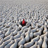 HAROL - Egocéntrico