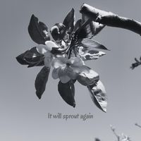 Emmanuel Songsore - It will sprout again